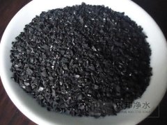 造纸厂专用杏壳活性炭